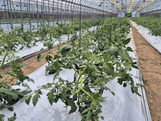 산지 미리보기 3