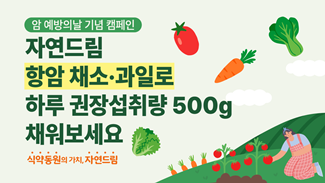항암 채소과일로 하루 권장섭취량 500g 채워보세요