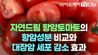자연드림 항암토마토의 항암 효과 연구!