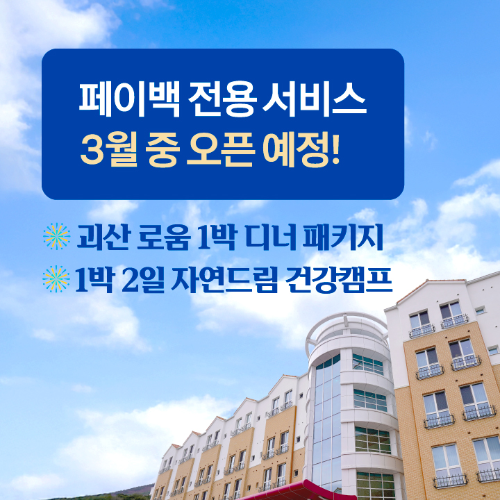 페이백전용예고