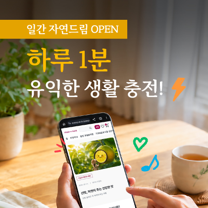 일간자연드림 오픈