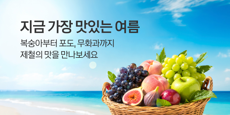 지금이 가장 맛있는 여름 제철의 맛