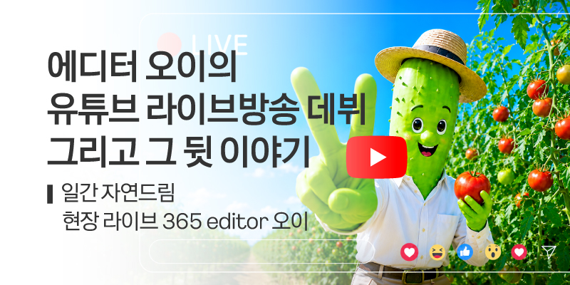 일간자드 라방 오이 후기