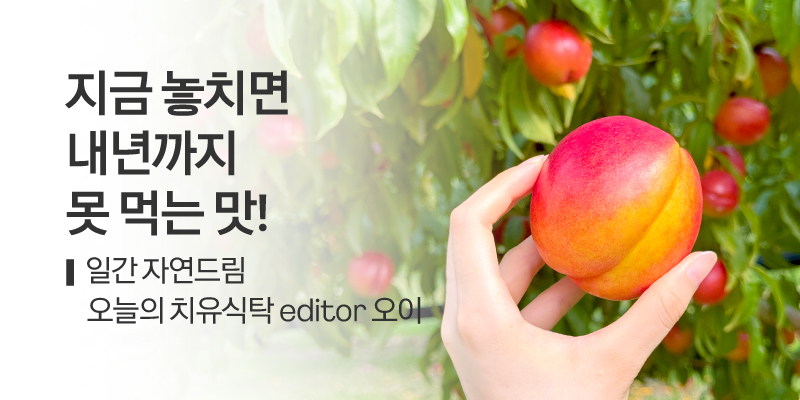 일간자드 복숭아 스토리