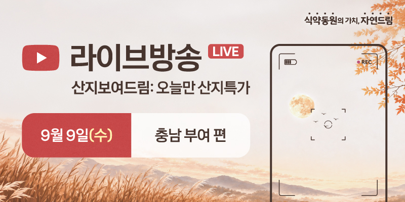 라방 사전홍보
