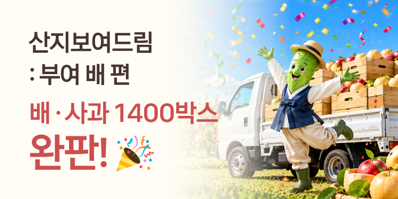9/9 라방 완판