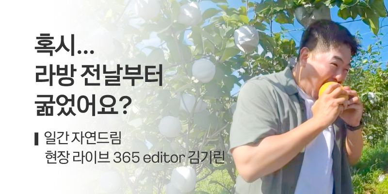 일간자드 라방 4회차 리뷰