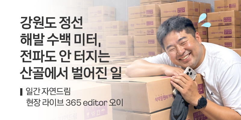 일간자드 강원 정선 비하인드 스토리