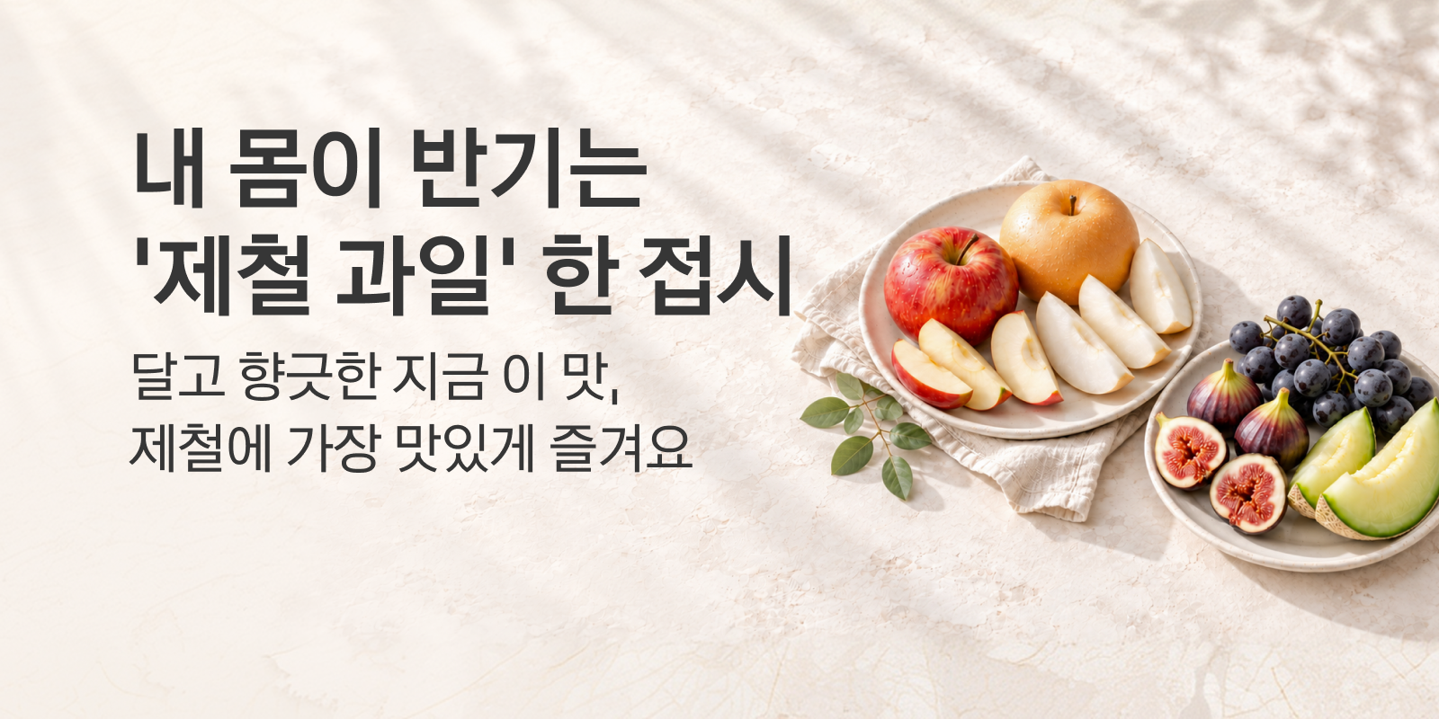 제철과일 큐레이션