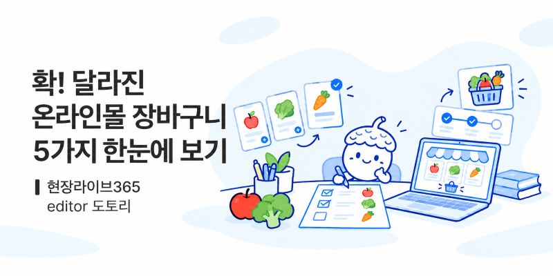 일간자드 플랫폼 디자이