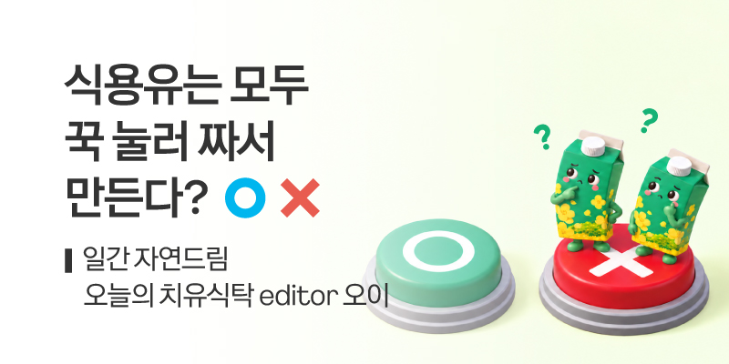 일간자드 유채유 OX퀴즈