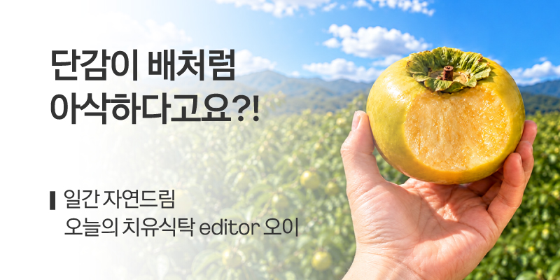 일간자드 태추단감