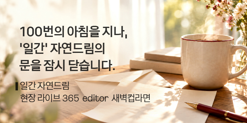 마지막 일간자드