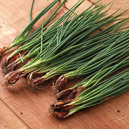 [무농약쪽파]-상세정보