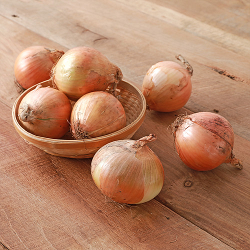 [대용량양파]-상세정보