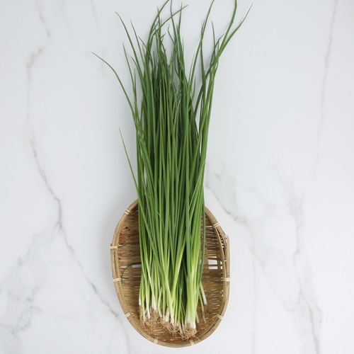 [유기농실파]-상세정보