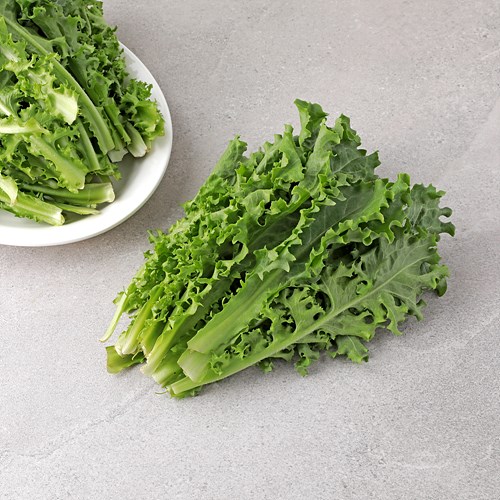 [항암치커리(유기농)]-상세정보