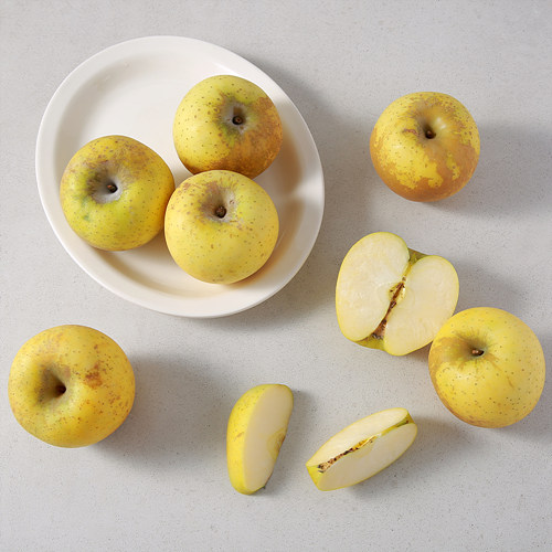 [알뜰골드사과]-상세정보