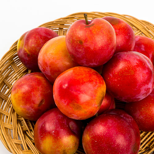 (산지직송)자두*2kg 이미지 3