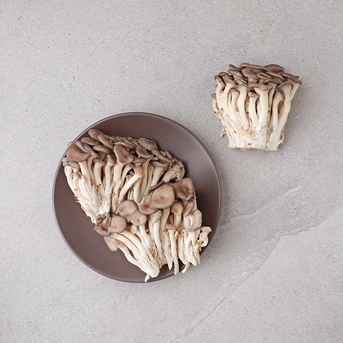 애느타리버섯(대농)*300g*무(국산) 이미지 5