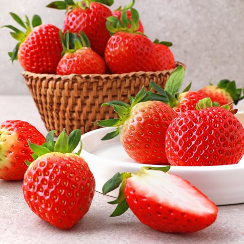 [항암설향딸기(무농약)]-상세정보