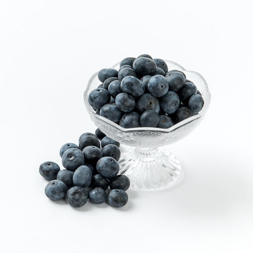 [항암블루베리(무농약)]-상세정보