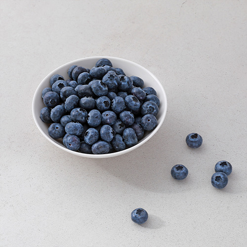 [항암블루베리(무농약)]-상세정보