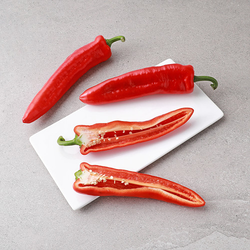 [무이상피노키오파프리카]-상세정보