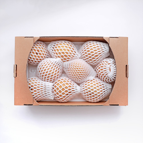 [(특가)산지직송배*5kg]-상세정보