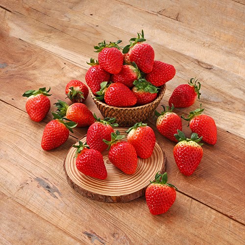 무농약토경재배설향딸기(특)