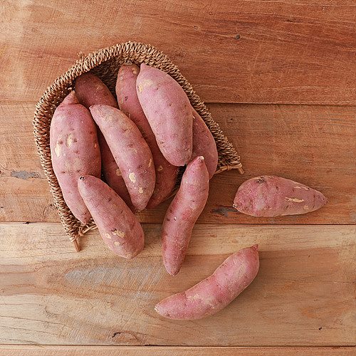 [(산지직송)유기농찰밤고구마]-상세정보