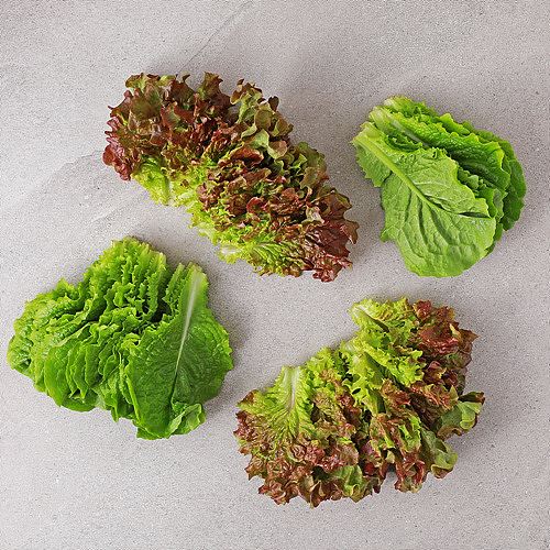 [유기농항암상추(원재료)]-상세정보