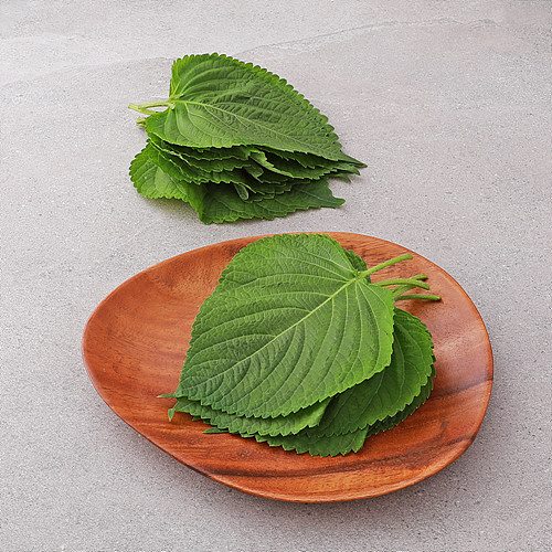 항암깻잎(무농약이상)*번들