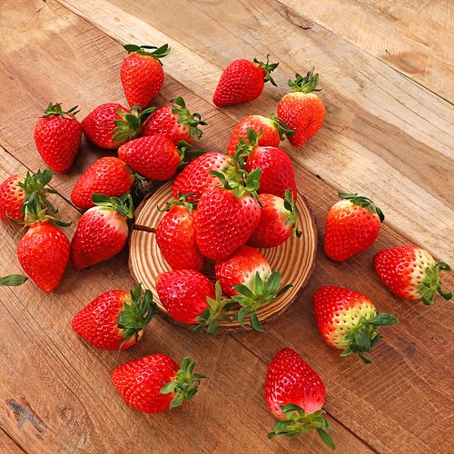 [무농약설향딸기(안동)]-상세정보