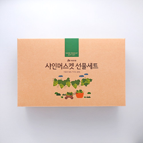 샤인머스캣선물세트*3송이*택배 이미지 3