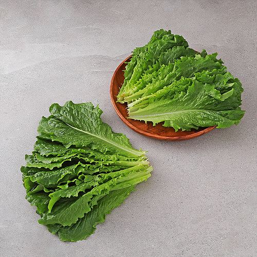 [유기농항암상추(원재료)]-상세정보