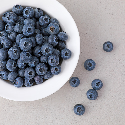 [무농약새벽이블루베리(고령)]-상세정보