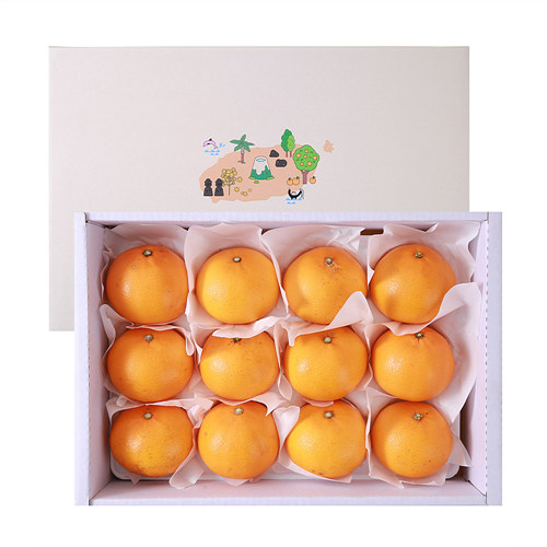 [천혜향선물세트]-상세정보