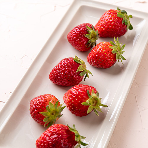 [유기농설향딸기(주스용)]-상세정보