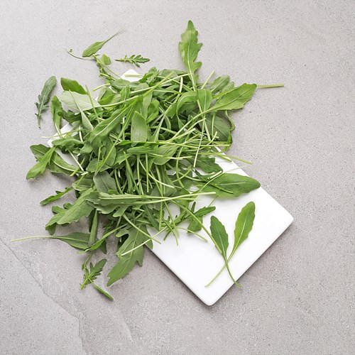 [유기농와일드루꼴라]-상세정보