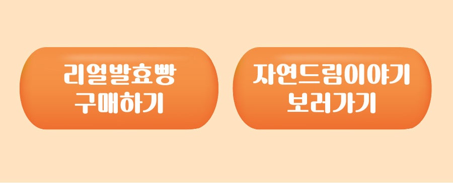 리얼발효빵